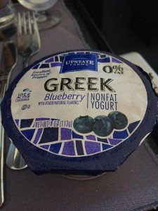 Blueberry Greek Yogurt