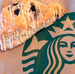 Blueberry Scone