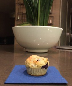 Protein Blueberry Muffins