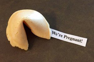 We're Pregnant Fortune Cookie